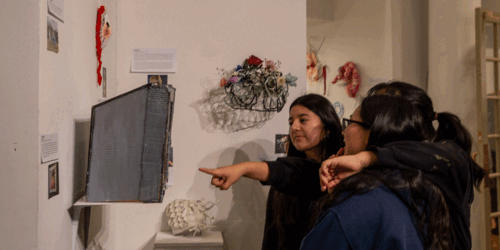 Visual Arts Student Achievement Show Image