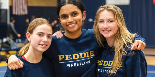 Wrestle Like A Girl Image