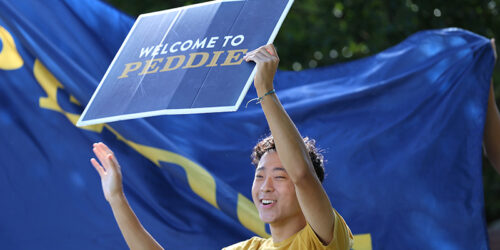 How my advisory group keeps me grounded Image