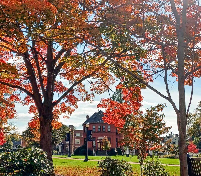 Peddie Longstreet Hall Autumn Foliage
