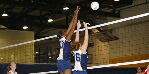 Girls Volleyball to return this fall Image