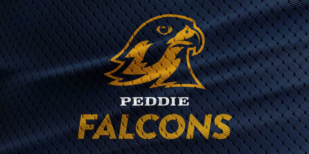 The Falcon has Landed