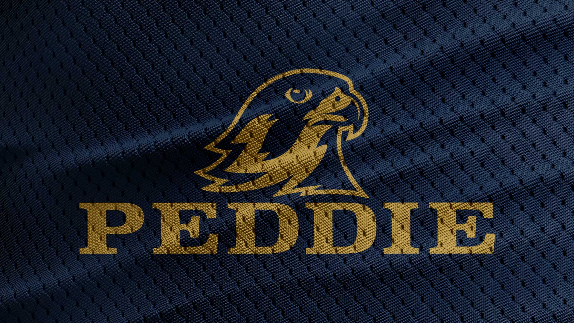 Falcon with Peddie wordmark on athletic jersey material