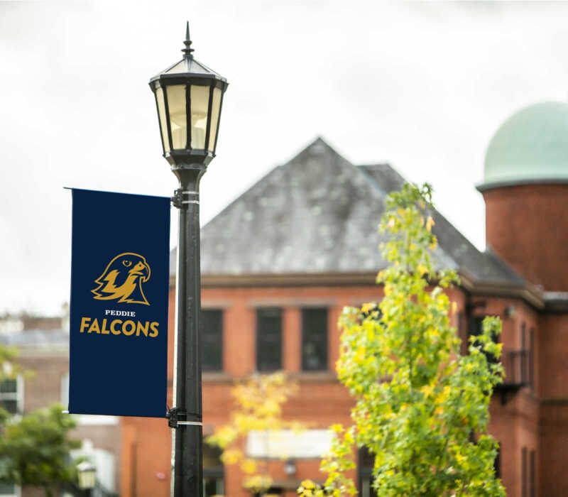 Longstreet Hall with Falcon Banner