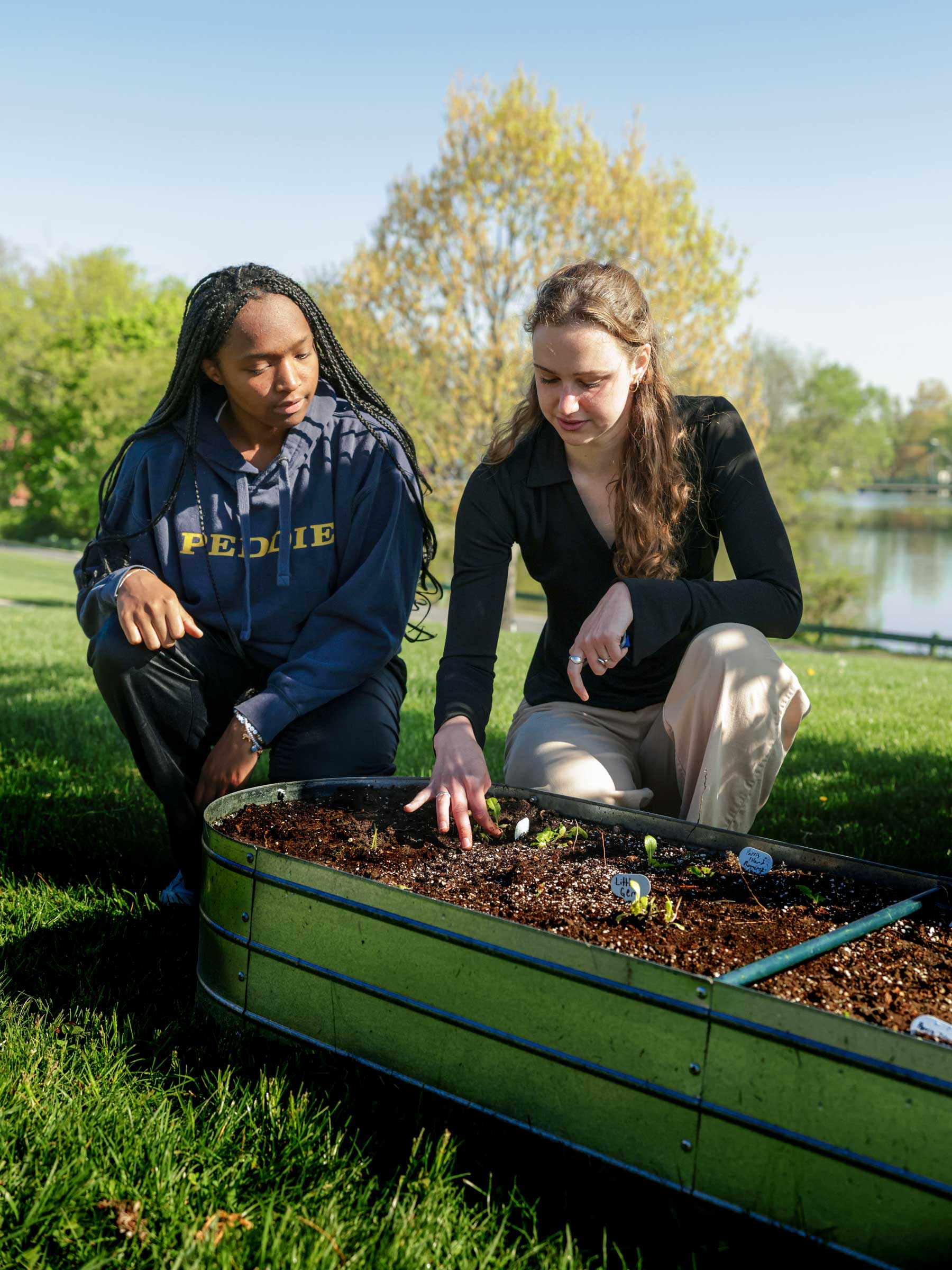 Student and teacher working in Peddie's vegetable garden